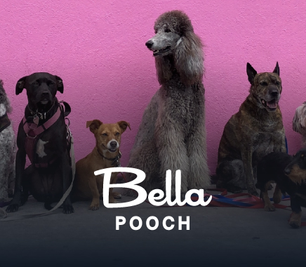 bellapooch