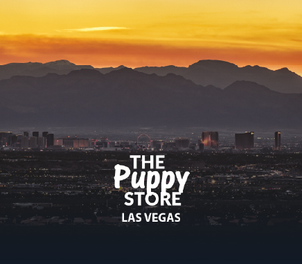the_puppy_store_las_vegas